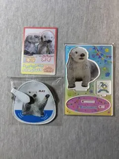 シャルル様専用　鳥羽水族館　コインケース　メイちゃん　コレカ　メイ☆キラ