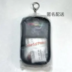 カラフルピーチ×イオン　ガジェットポーチ　うり