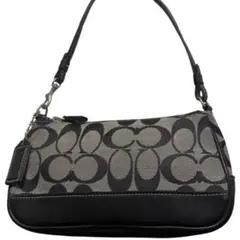 COACH Signature Accessory Pouch 6094 Y2k