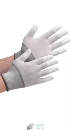 Item thumbnail for item e4518125-cf54-4881-bfcb-d896ecc64fdb