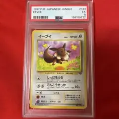 PSA5 1997 ポケモンジャングル イーブイ　旧裏 PSA5 1997 ポケモンジャングル イーブイ 旧裏 - メルカリ