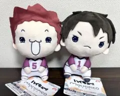 ハイキュー もちぴこぬいぐるみ　牛島若利　天童覚