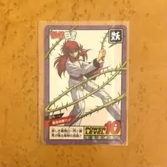 幽☆遊☆白書 蔵馬こと南野秀一☆ - メルカリ