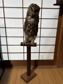 レトロ】フクロウのポスト(鋳物) - メルカリ