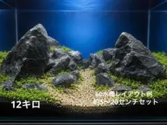 ☆清流石12キロ☆厳選レイアウトセット アクアリウム用 龍王石 青龍石