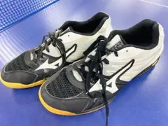 ミズノ　ウェーブカイザーブルク5 27.5cm 中古卓球シューズ　S014