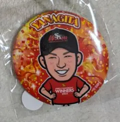 2025年最新】若鷹の人気アイテム - メルカリ