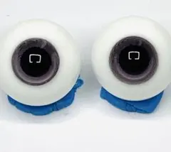 Item thumbnail for item 50fc495e-5fab-4cf9-8163-e6d808793c56