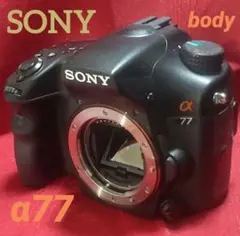 2026年最新】Sony α77の人気アイテム - メルカリ