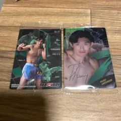 RIZINウエハースカード