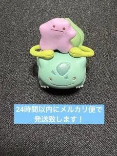 2026年最新】へんしんメタモン ガチャガチャの人気アイテム - メルカリ