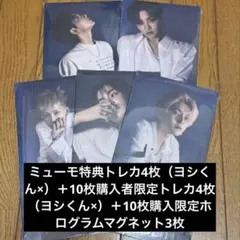 treasure pleasure アルバム トレカ