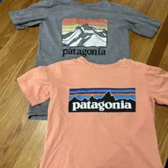 patagonia パタゴニアTシャツ 2枚セット