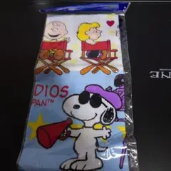 Item thumbnail for item 856e0b60-0c85-4db7-bfe6-c7892faaf8b9