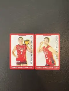 2026年最新】デンソーエアリービーズの人気アイテム - メルカリ