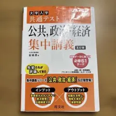 公共、政治・経済 集中講義 金城透