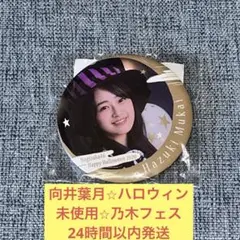 2026年最新】向井葉月 乃木フェスの人気アイテム - メルカリ