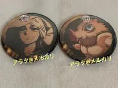 鬼滅の刃 時透無一郎 嘴平伊之助 缶バッジ 無限城編 ティザー期 バッジ 2点