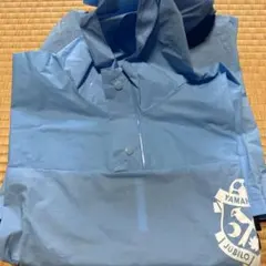 Item thumbnail for item 2bcf410d-baa2-4a38-9edc-785135bb6e32