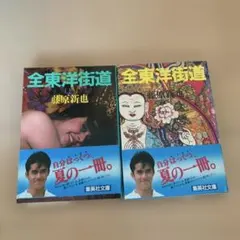 全東洋街道 藤原新也