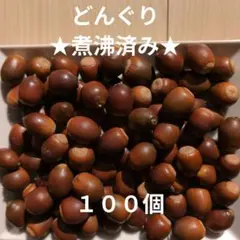 くぬぎ　100個　煮沸済み　どんぐり　木の実　2〜2.5cm程