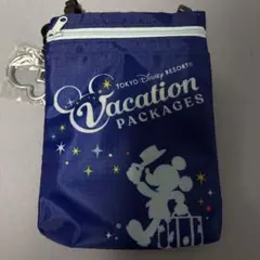 東京ディズニーリゾート ポーチ ミッキー