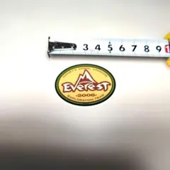 ウォルトディズニーワールド。エベレスト ステッカー 2006＆DVCステッカー1