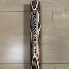 Item thumbnail for item 6c1f3a2e-c9e5-45ef-b693-5a469661f285