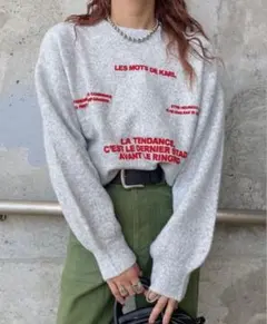 【匿名配送】kaoru×しまむら コラボニット ライトグレー