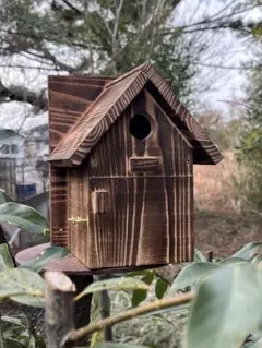 Item thumbnail for item 6d56935b-f884-4481-9610-3f994877f352