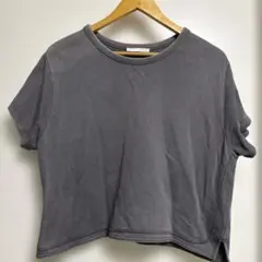 ZARA レディースTシャツ L size