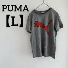 Item thumbnail for item d70a63fb-78ae-401d-88be-2a002db4337c