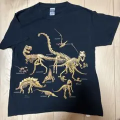 GILDAN 恐竜骨格 Tシャツ Mサイズ
