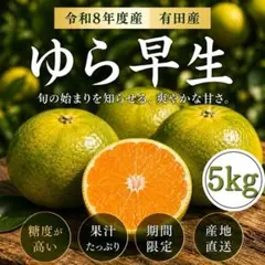 【予約販売】　和歌山県産　大容量　ゆら早生みかん　５キロ　送料無料　果汁たっぷり 予約販売】 和歌山県産 大容量 ゆら早生みかん 5キロ 送料無料 果汁