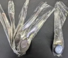 WA18-8ステンレス和味 中華レンゲスプーン 中６ｐｃ　燕三条製のサムネイル