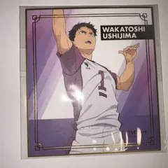 ハイキュー 牛島若利 色紙 グッズ