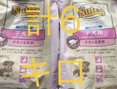 メルカリ便無料♡⑦ナチュラルチョイス 成犬用 中型犬〜大型犬用 チキン 15kg 即日出荷】ナチュラルチョイス チキン&玄米 中型犬大型犬用 成犬用