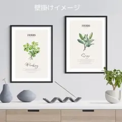 ハーブ（パセリ＆セージ）A4プリントポスター