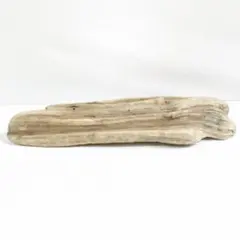 Item thumbnail for item 22e7531b-aea0-4615-918b-71bf60d4f172