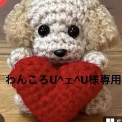 トイプードル あみぐるみ ✨わんころU^ェ^U様専用✨