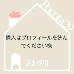 購入はプロフィールを読んでください様 リクエスト 2点 まとめ商品
