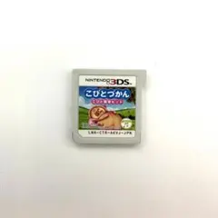 こびとづかん こびと観察セット