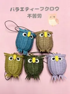 章子☆プロフィール必読様 リクエスト 3点 まとめ商品