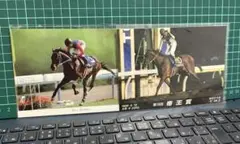 競馬☆[美品] ポストカード ライスシャワー ホクトベガ