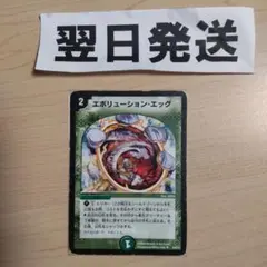 ⒄初期版旧枠 エボリューションエッグ