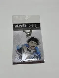 桃源暗鬼 ウェットカラーシリーズ アクリルキーホルダー Vol.1 矢颪碇