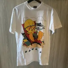 10T8075 FRUIT OF THE LOOM Tシャツ USA製 ジョーク - メルカリ