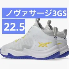 asics NOVA SURGE 3GS 22.5 ジュニアのサムネイル