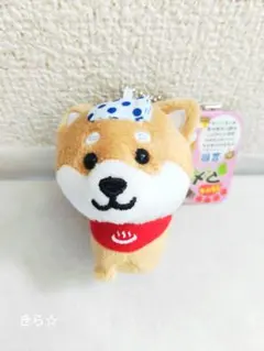 きれいずきん生活 頭巾なし ぬいぐるみ マスコット キーチェーン san-x