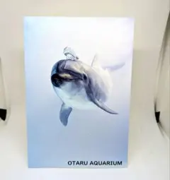 Item thumbnail for item b9abe76f-cf1a-4c6c-a550-6bab3935b11b